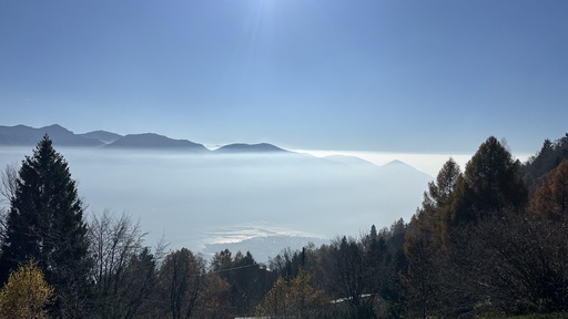 Fernbehandlung, 1,5 Stunden mit Belinda Habegger